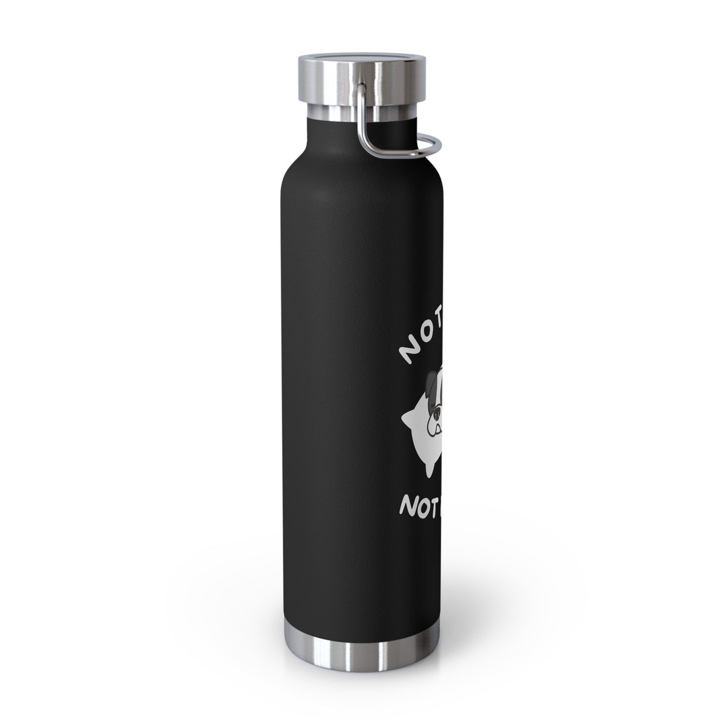 Not Fast Not Furious - Black 22oz Vacuum Insulated Bottle.