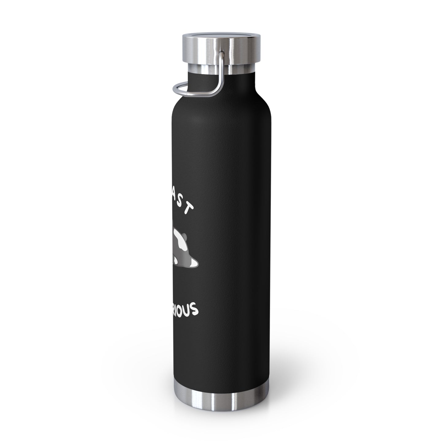 Not Fast Not Furious - Black 22oz Vacuum Insulated Bottle.