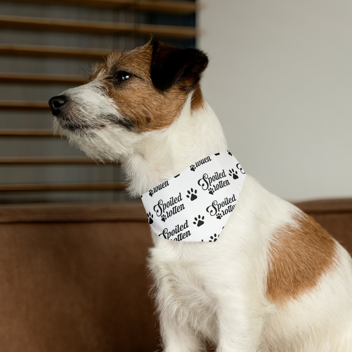 Spoiled Rotten - Pet Bandana Collar