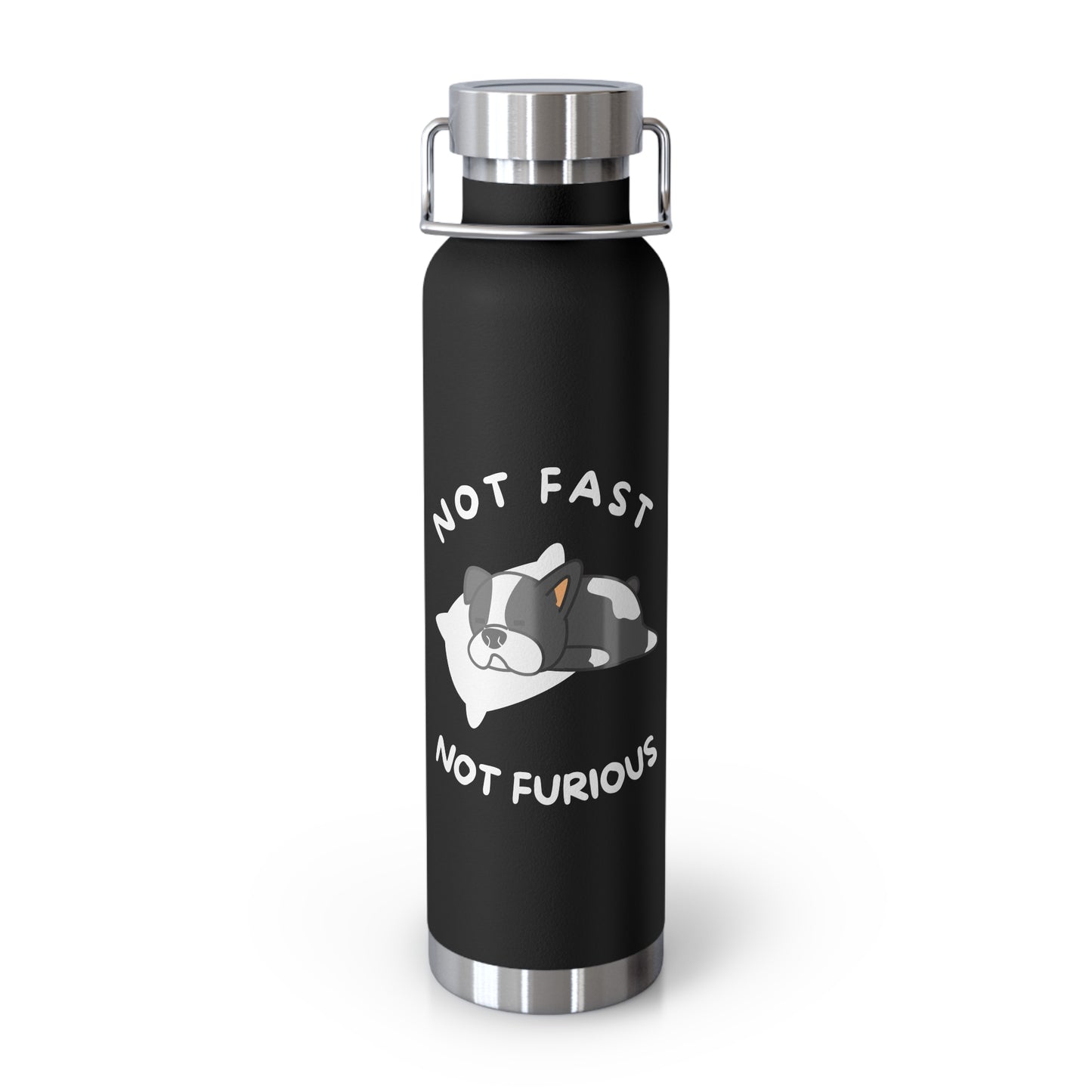 Not Fast Not Furious - Black 22oz Vacuum Insulated Bottle.