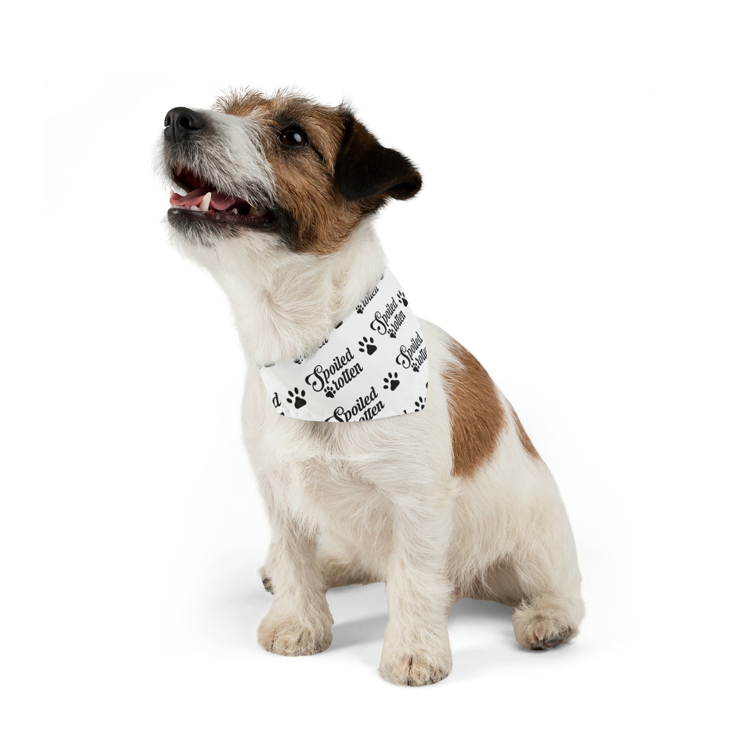 Spoiled Rotten - Pet Bandana Collar