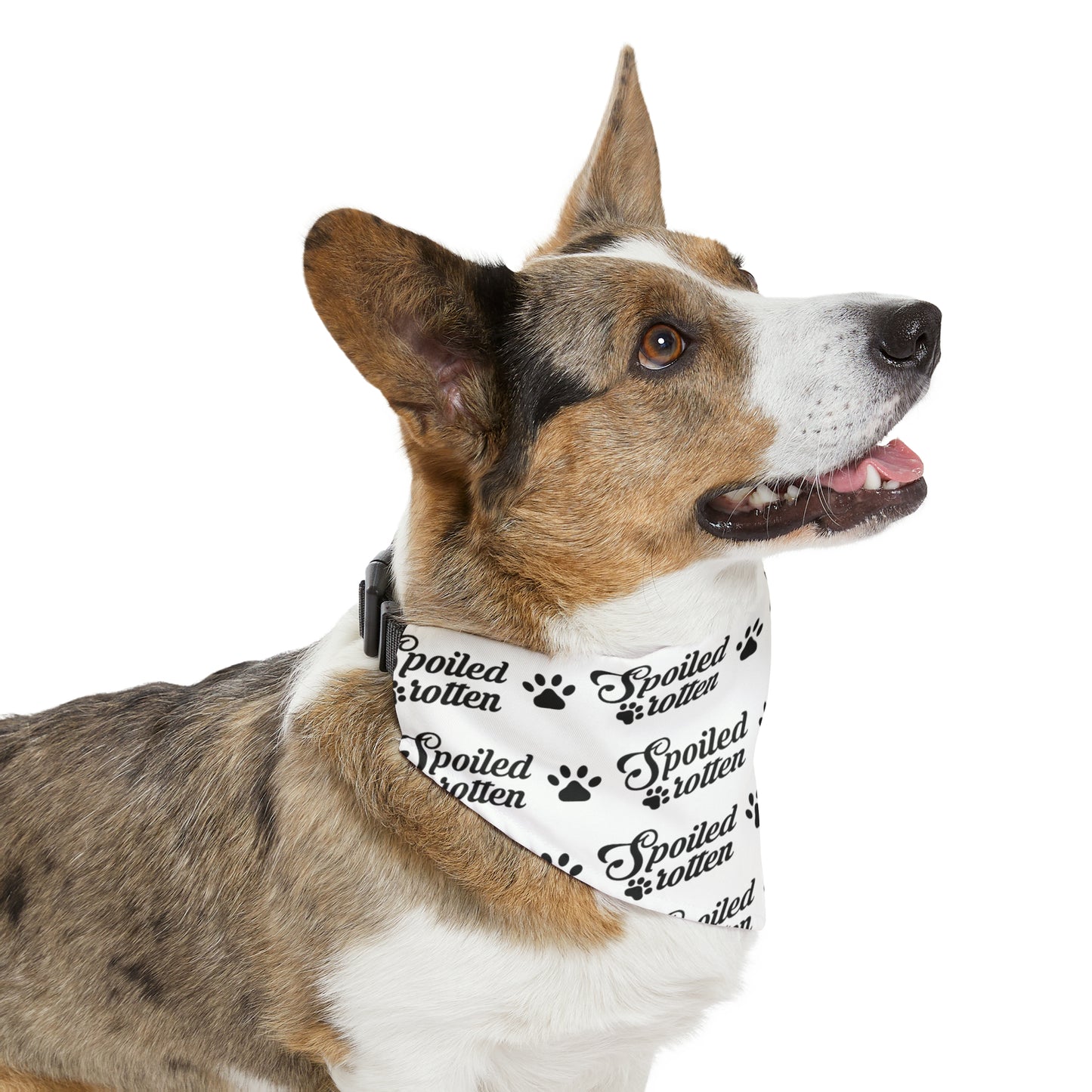 Spoiled Rotten - Pet Bandana Collar