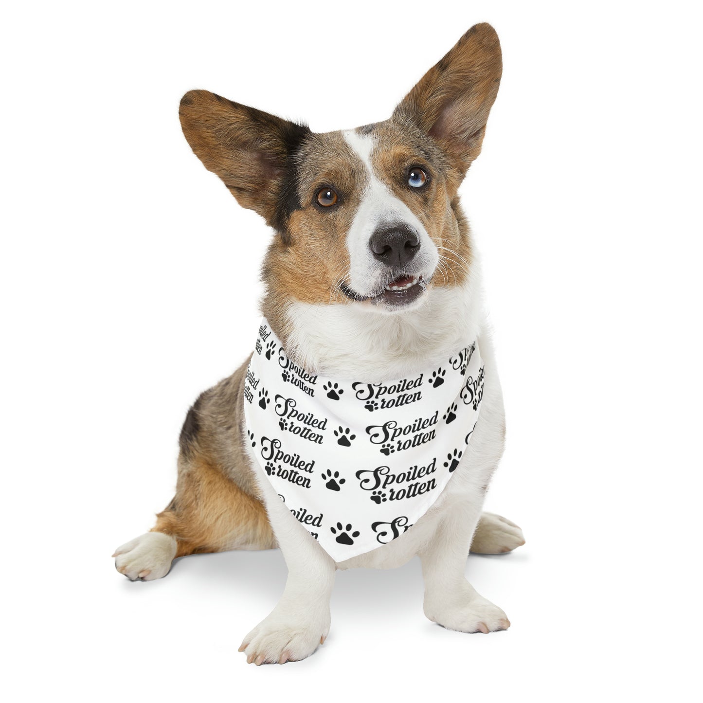 Spoiled Rotten - Pet Bandana Collar