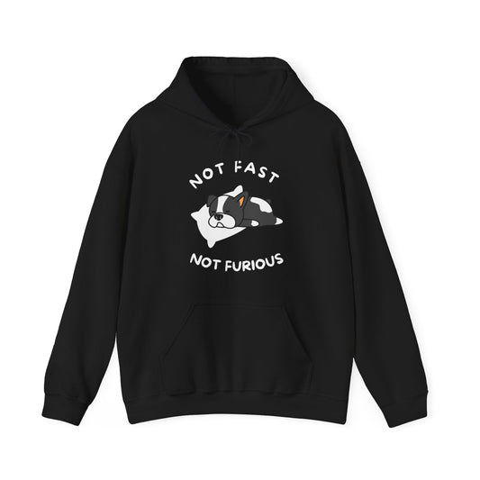 Not Fast Not Furious - Unisex Hooded Sweatshirt